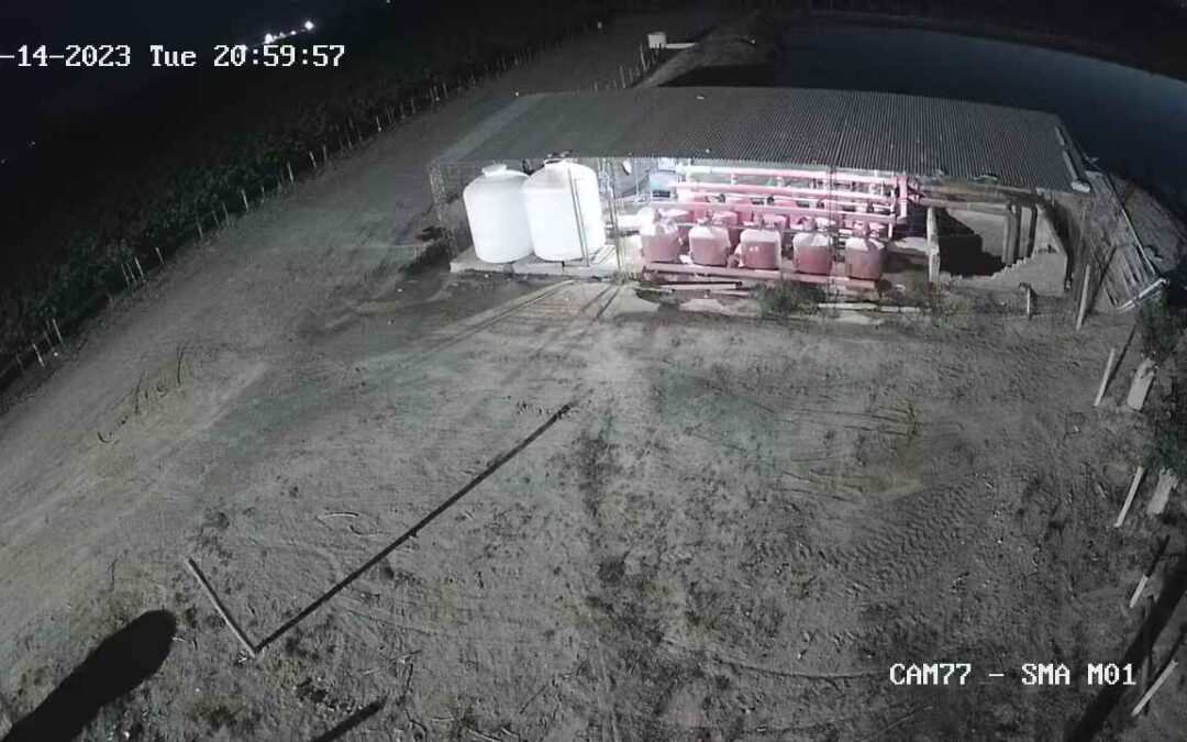 Seguridad en el Campo